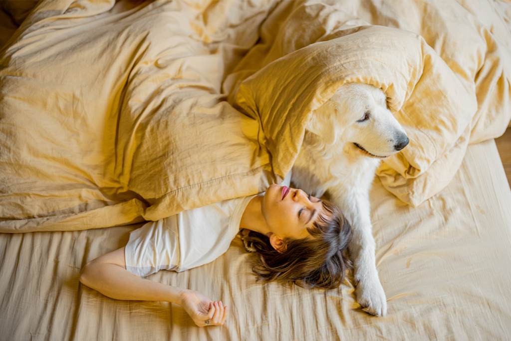 PRECAUCIONES AL DOMIR CON UN PERRO