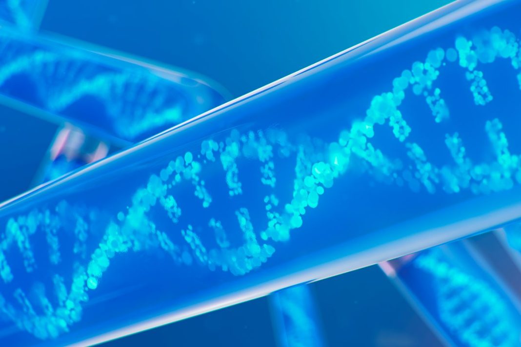 SÍNTESIS DE GENOMA HUMANO DE GRAN TAMAÑO