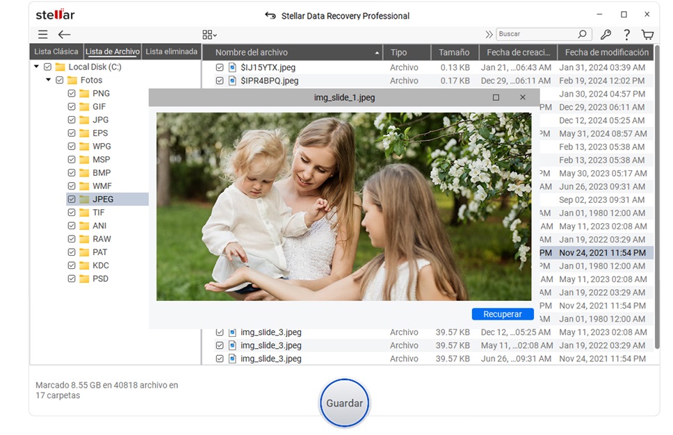 Stellar Data Recovery Professional