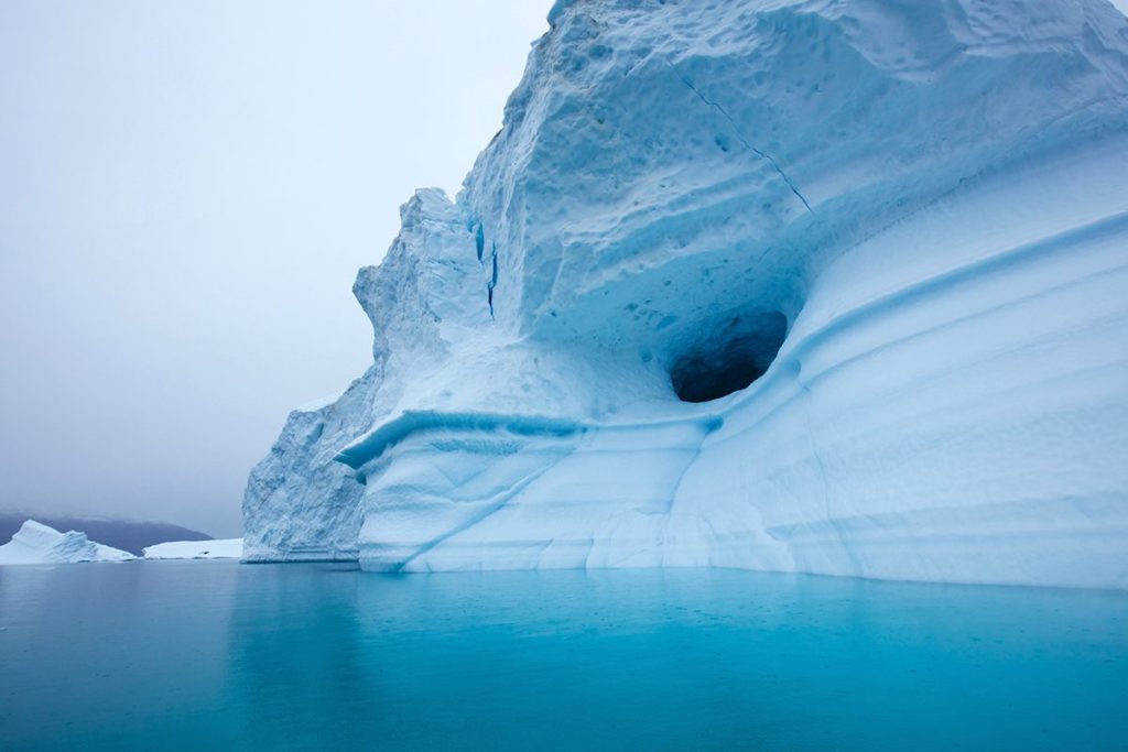 UN HALLAGO CLAVE EN LA ANTÁRTIDA