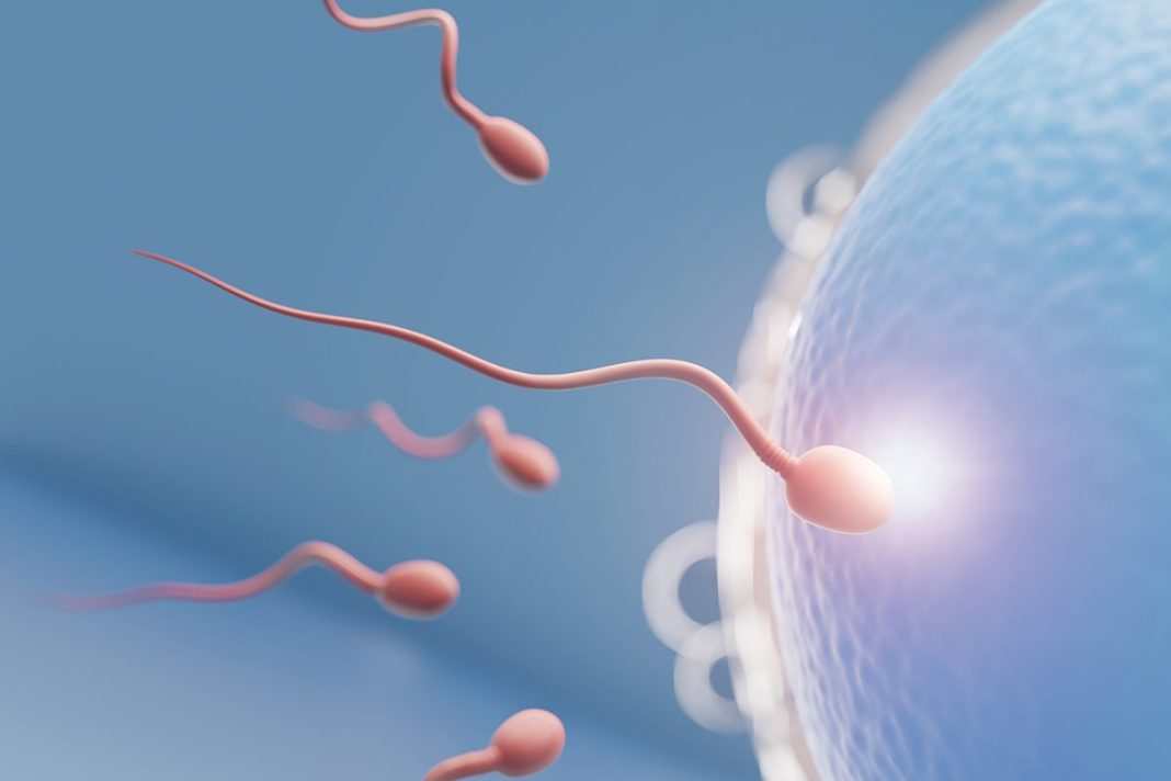 UN PROBLEMA PARA LA FERTILIDAD