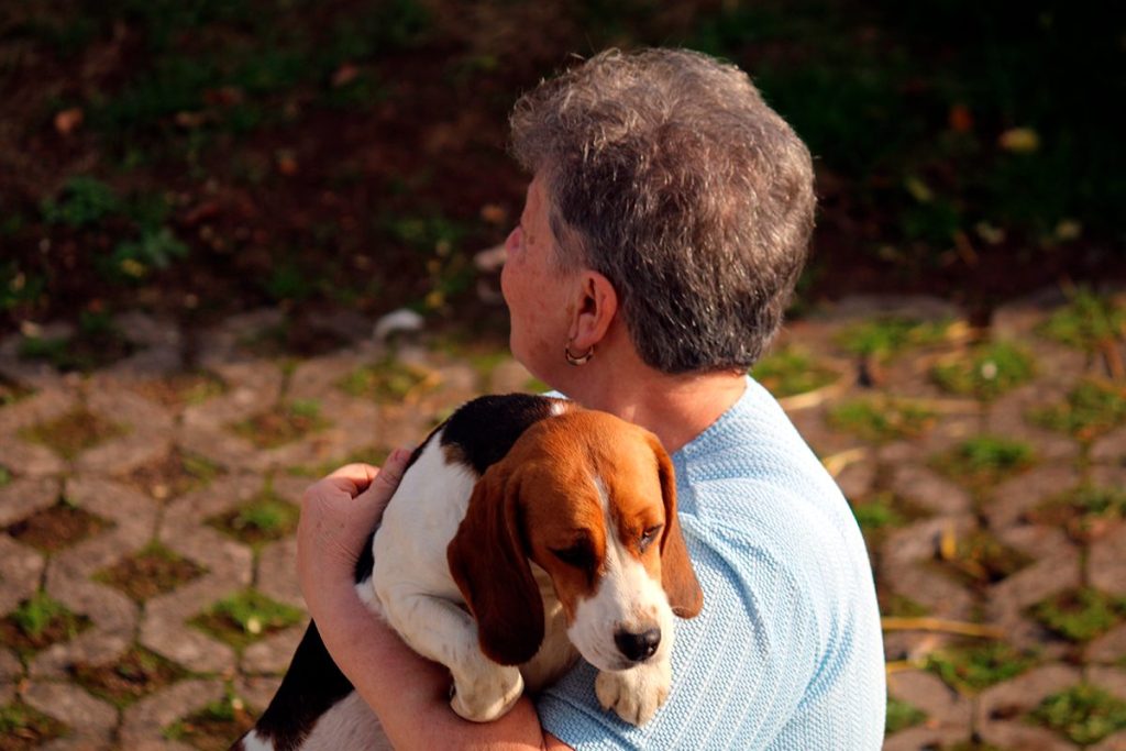 UNA INVESTIGACIÓN ESPERANZADORA FRENTE AL PÁRKINSON