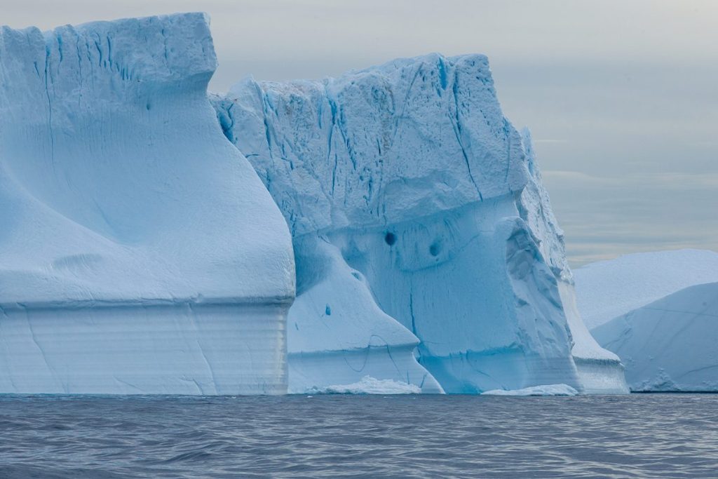 UNO DE LOS HALLAZGOS MÁS IMPORTANTES DE LA DÉCADA EN LA ANTÁRTIDA