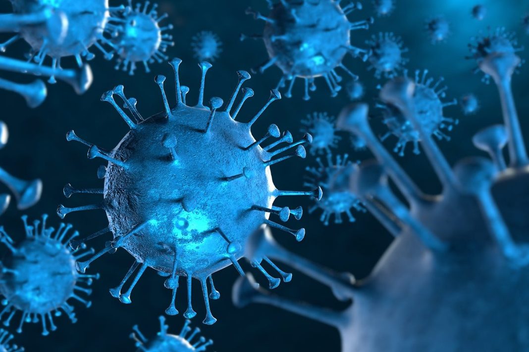 VIRUS MULTIRRESISTENTES