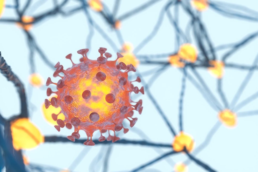 VIRUS RESISTENTES A TODO