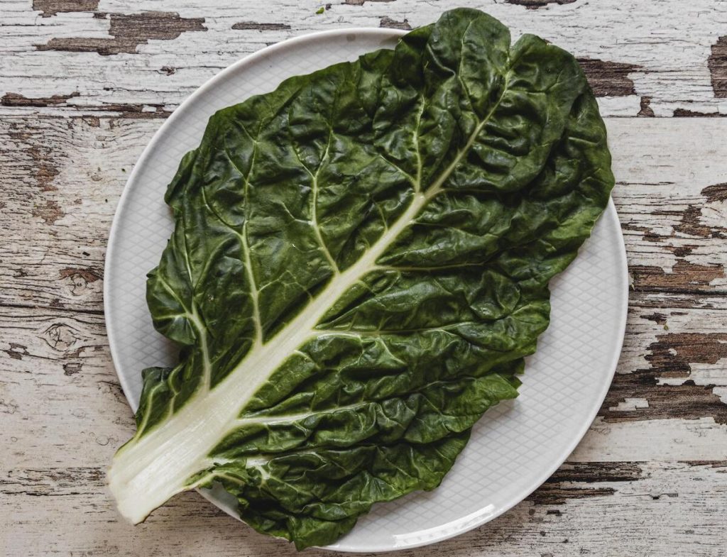 Los alimentos que fortalecen tus huesos: cómo prevenir la osteoporosis desde el plato 52 Opciones vegetales ricas en calcio: más allá de la leche