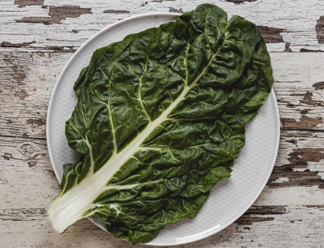 Opciones vegetales ricas en calcio: más allá de la leche