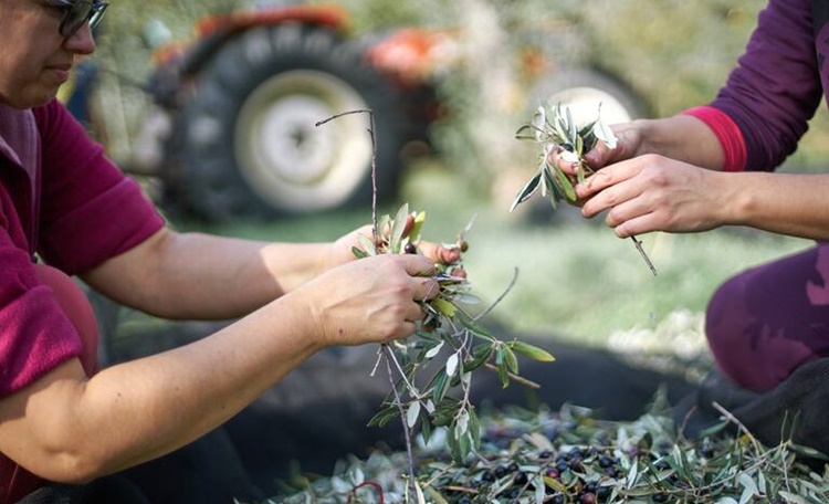 agricultores andalucía