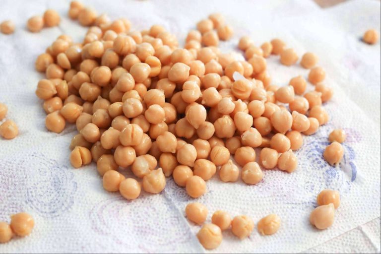Sierra Oeste de Madrid impulsa la gastronomía local con el Club de Producto 'Tierra de Garbanzos'