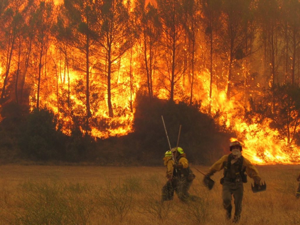 Una Brigada de Lucha contra Incendios Forestales
