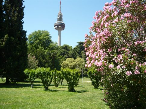 parque fuente del berro La falta de previsión del Ayuntamiento de Madrid deja el parque de la Fuente del Berro en mínimos