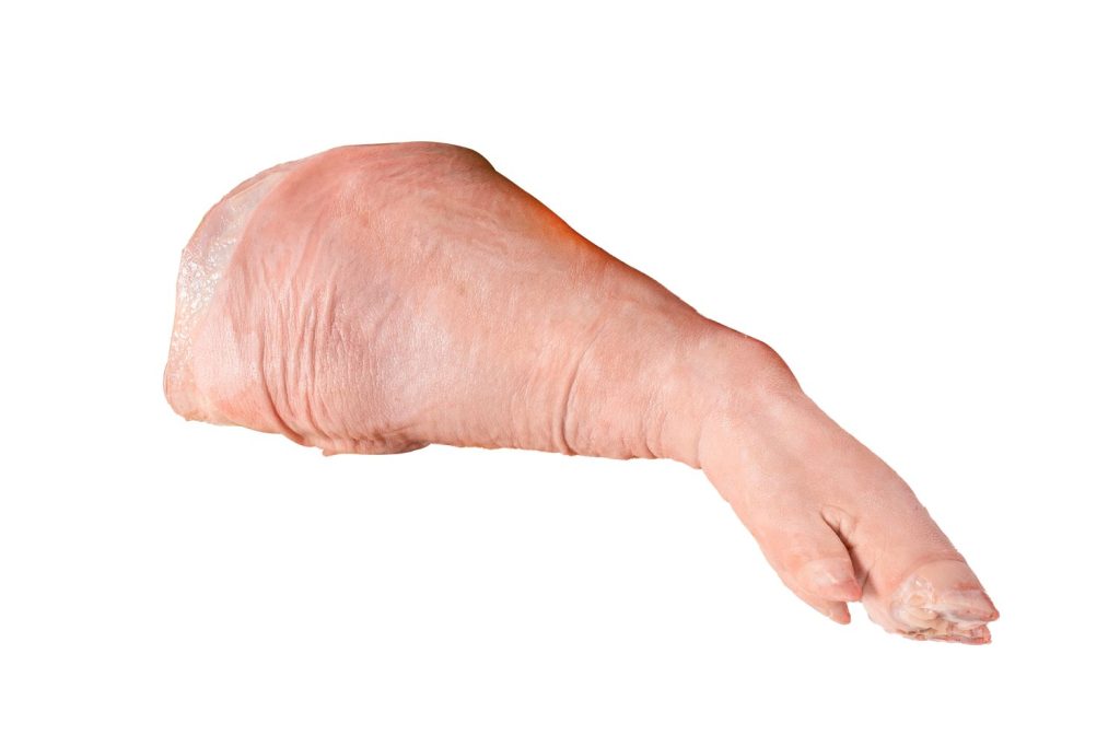 DOS MUNDOS EN UN PLATO: EL PIE DE CERDO Y EL ERIZO DE MAR FRENTE A FRENTE