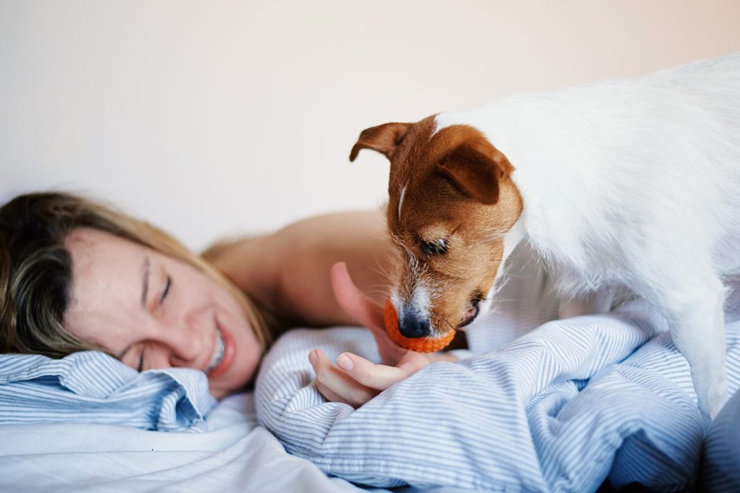 ¿DUERMES CON TU PERRO POR LAS NOCHES?
