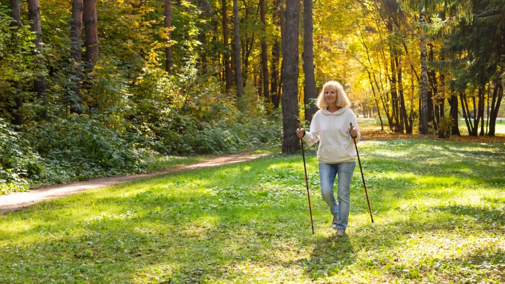 Entender los mecanismos fisiológicos que se activan al pasear por un bosque es fundamental para comprender por qué baja la tensión arterial. Fuente: Freepik