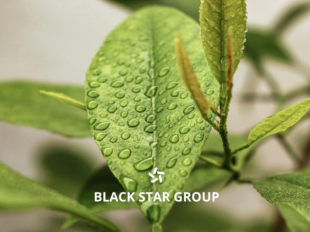 Black Star Group lanza nuevas soluciones para maquinaria agrcola e industrial