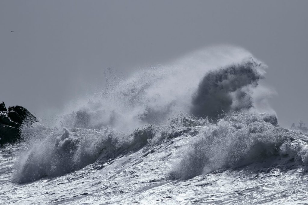 CHICXULUB, UN TSUNAMI QUE CAMBIO LA VIDA EN EL PLANETA TIERRA