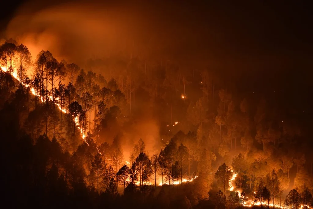 CÓMO AFECTA EL CAMBIO CLIMÁTICO A LOS MEGAINCENDIOS