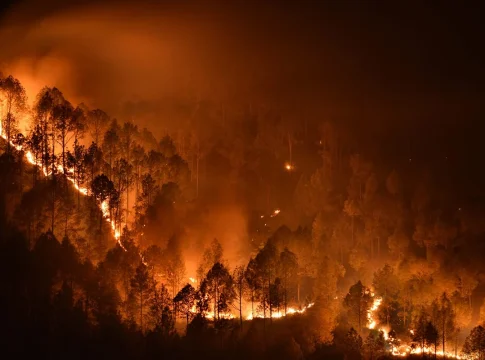 CÓMO AFECTA EL CAMBIO CLIMÁTICO A LOS MEGAINCENDIOS CÓMO AFECTA EL CAMBIO CLIMÁTICO A LOS MEGAINCENDIOS