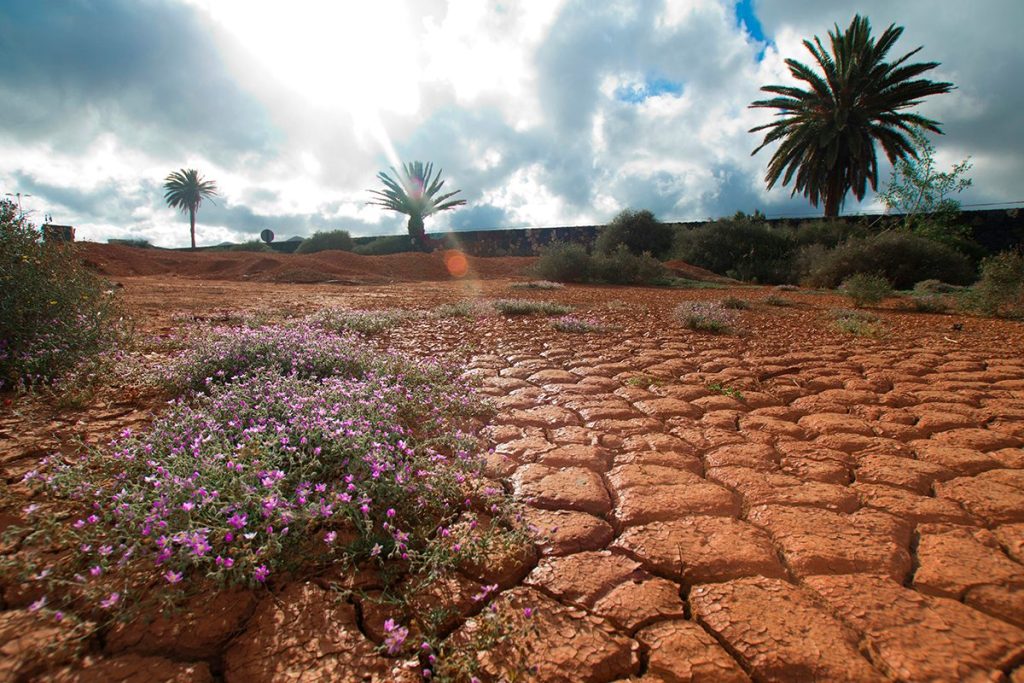El clima de la Tierra muestra que el ser humano está originando nuevas estaciones 24 EL SER HUMANO ALTERA EL CLIMA DE LA TIERRA