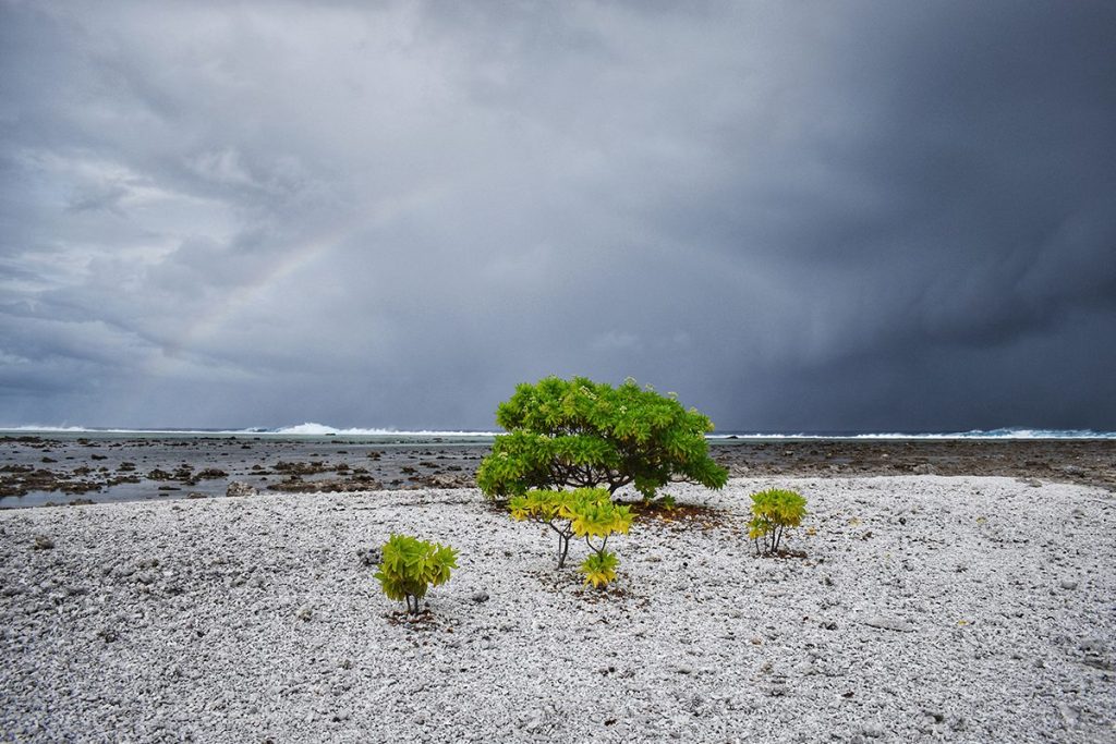 El clima de la Tierra muestra que el ser humano está originando nuevas estaciones 31 EL SER HUMANO HACE MELLA EN LA TIERRA