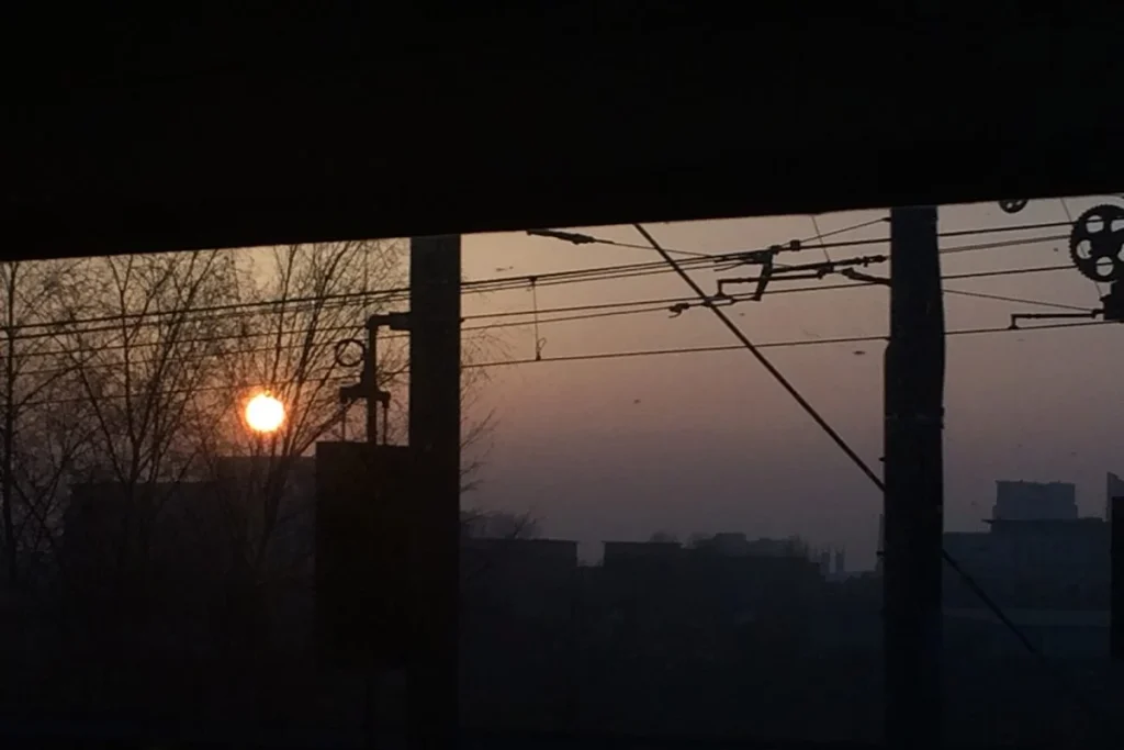 ELON MUSK INSISTE EN LA NECESIDAD DE TOMAR MEDIDAS