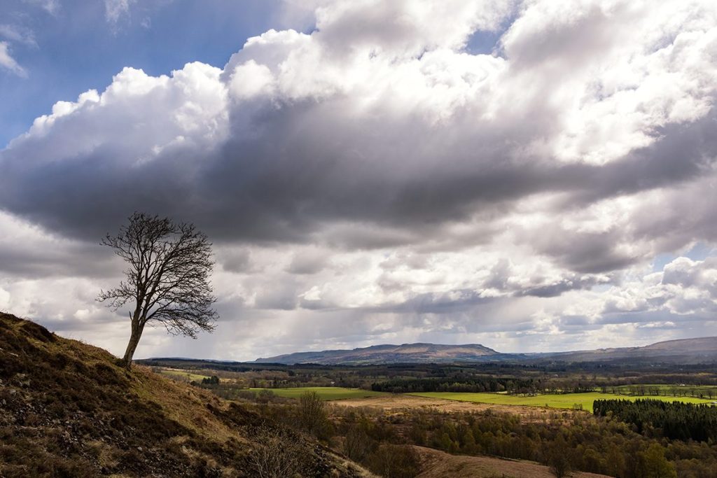 El clima de la Tierra muestra que el ser humano está originando nuevas estaciones 27 ESTACIONES SINCOPADAS Y ARRÍTMICAS EN LA TIERRA