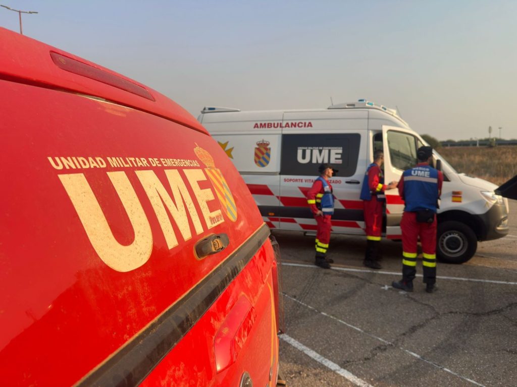 Efectivos militares de la UME luchan contra los incendios forestales