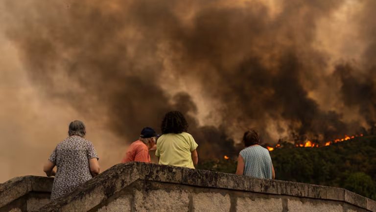 Ayudas por los incendios en Castilla y León: 5.500 euros para autónomos y pymes, requisitos y plazos