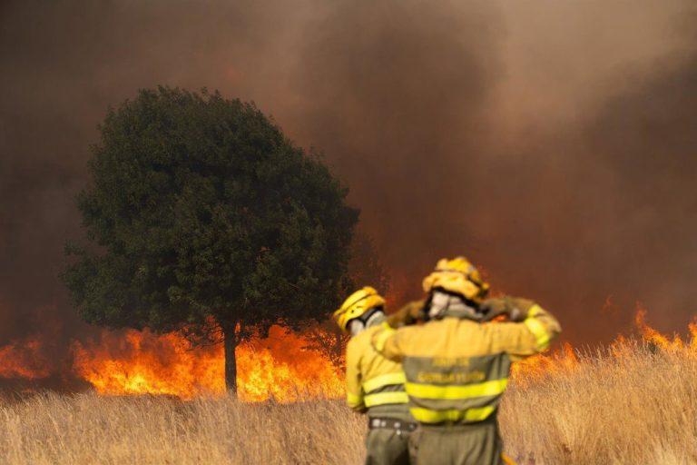 Incendios en Castilla y León: cómo pedir los 500 euros de ayuda por familia desde hoy