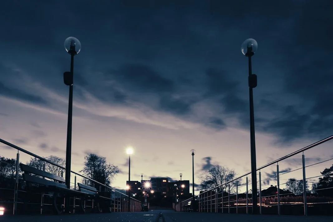 LA SEQUÍA ELÉCTRICA DE LA QUE ADVIERTE ELON MUSK