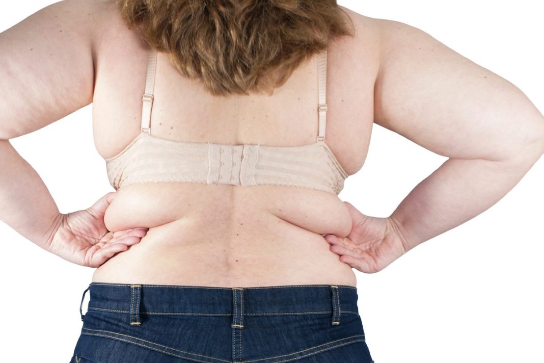 LAS CÉLULAS MADRE PRESENTES EN LA GRASA