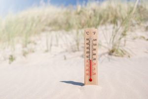 LAS OLAS DE CALOR EXTREMAS HAN LLEGADO PARA QUEDARSE