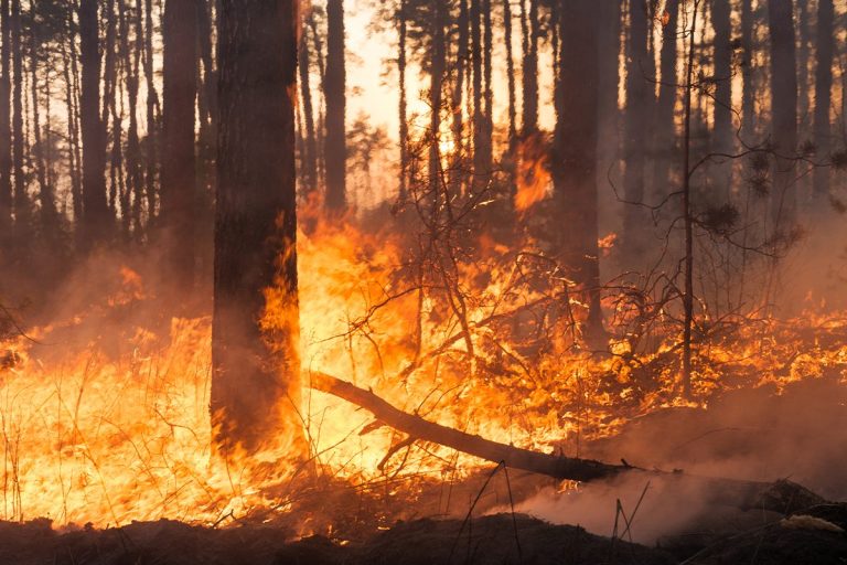 Tregua en el incendio de Madrid y Ávila: 45.000 evacuados regresan a casa
