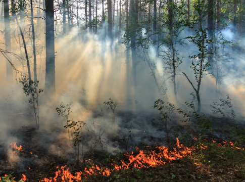 LOS INCENDIOS FORESTALES POR RAYOS SECOS SON DIFÍCILES DE CONTROLAR LOS INCENDIOS FORESTALES POR RAYOS SECOS SON DIFÍCILES DE CONTROLAR