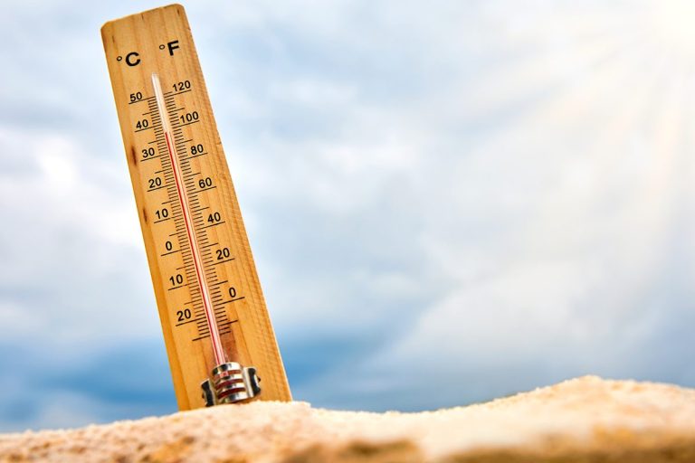 La ciencia advierte: olas de calor extremas como esta serán la nueva normalidad