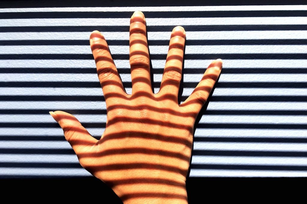 Llega la revolución en los pagos: Será posible comprar y vender con la palma de la mano 38 MAYOR SEGURIDAD EN LOS PAGOS DIGITALES