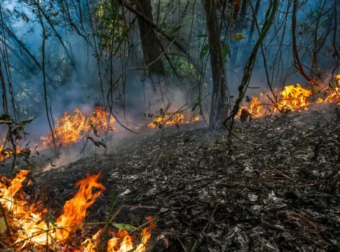 MEGAINCENDIOS Y OTRAS CATEGORÍAS MEGAINCENDIOS Y OTRAS CATEGORÍAS