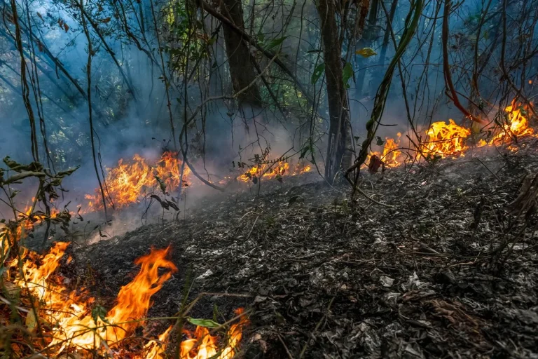 Incendio en Aragón: el fuego arrasa 12.000 hectáreas y obliga a evacuar cinco municipios