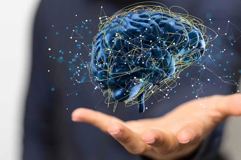 MUCHO MÁS QUE UN CEREBRO EN MINIATURA