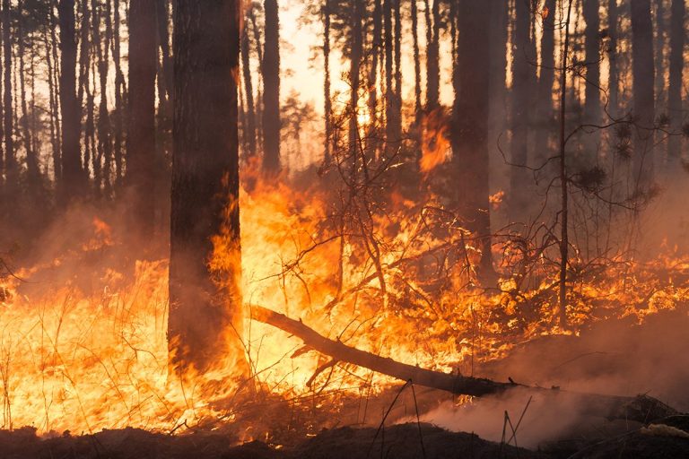 El incendio de Orés (Zaragoza) empeora y arrasa 14.000 hectáreas: pueblos desalojados