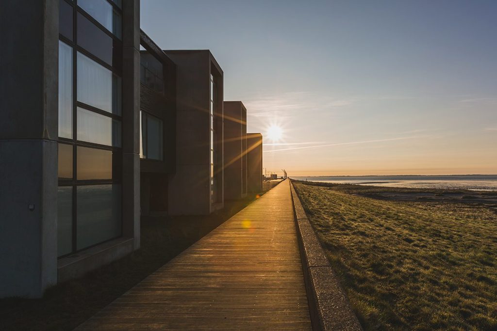 OTROS MOTIVOS POR LOS QUE VIVIR CERCA DEL MAR ALARGA LA VIDA