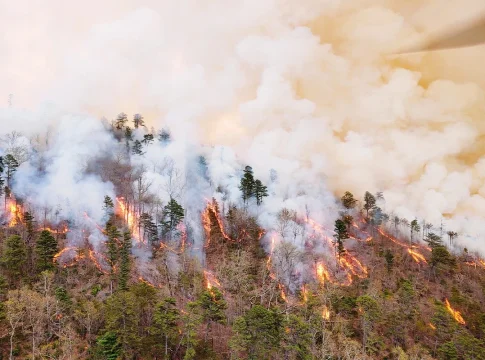 PRINCIPALES CARACTERÍSTICAS DE LOS MEGAINCENDIOS PRINCIPALES CARACTERÍSTICAS DE LOS MEGAINCENDIOS