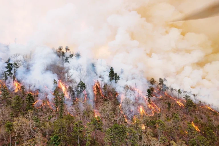 El incendio de Les Gavarres arrasa 2.300 hectáreas y obliga a confinar 12 municipios en Girona