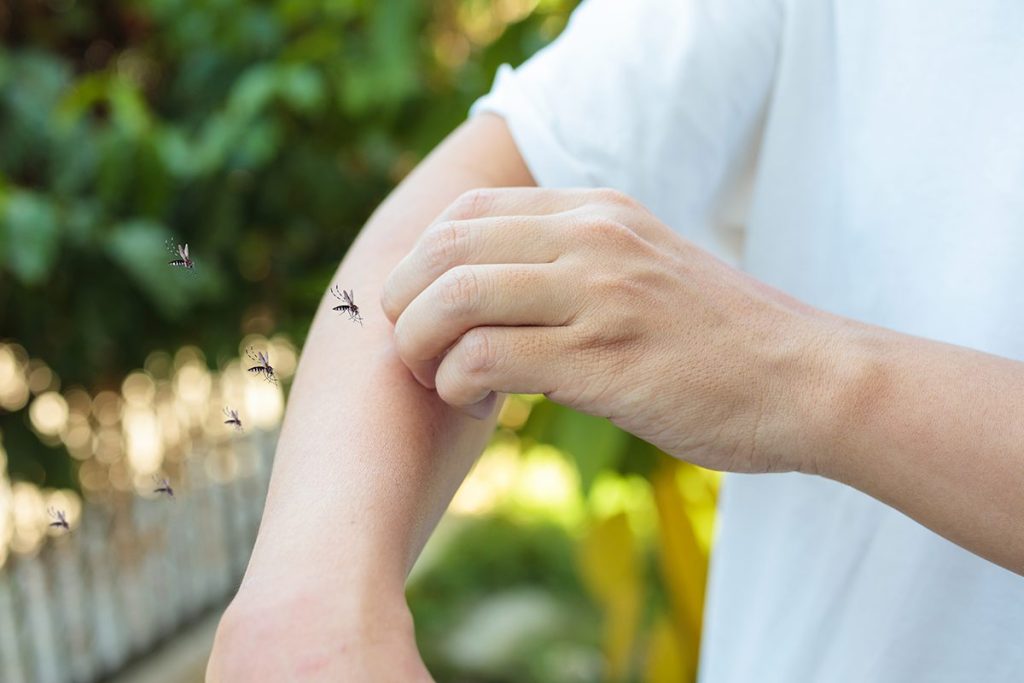 PROTECCIÓN MÁS PROLONGADA CONTRA LOS MOSQUITOS