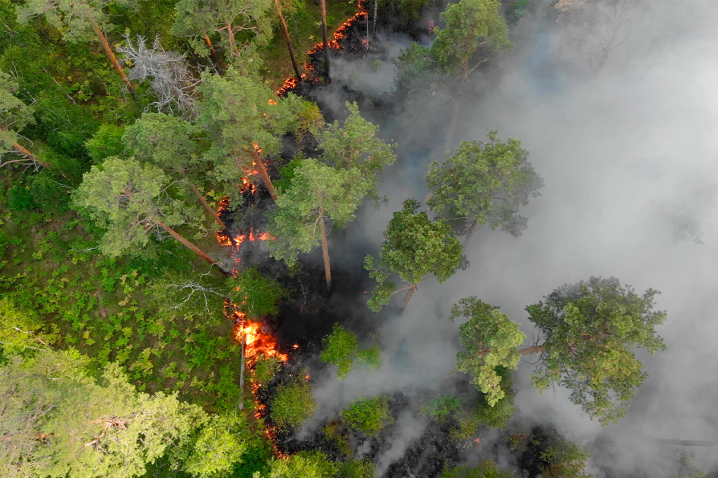 RAYOS Y TRUENOS EN TORMENTAS QUE PUEDEN ORIGINAR INCENDIOS FORESTALES