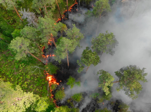 RAYOS Y TRUENOS EN TORMENTAS QUE PUEDEN ORIGINAR INCENDIOS FORESTALES RAYOS Y TRUENOS EN TORMENTAS QUE PUEDEN ORIGINAR INCENDIOS FORESTALES