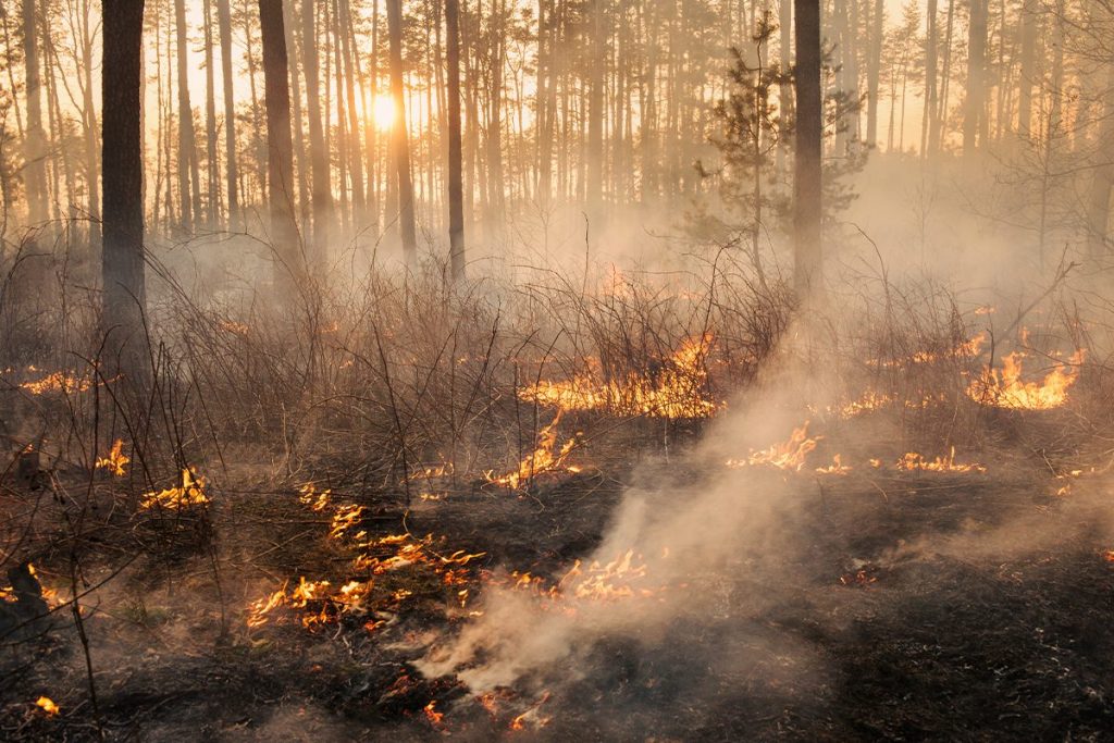 RELÁMPAGOS SECOS QUE PROVOCAN INCENDIOS FORESTALES