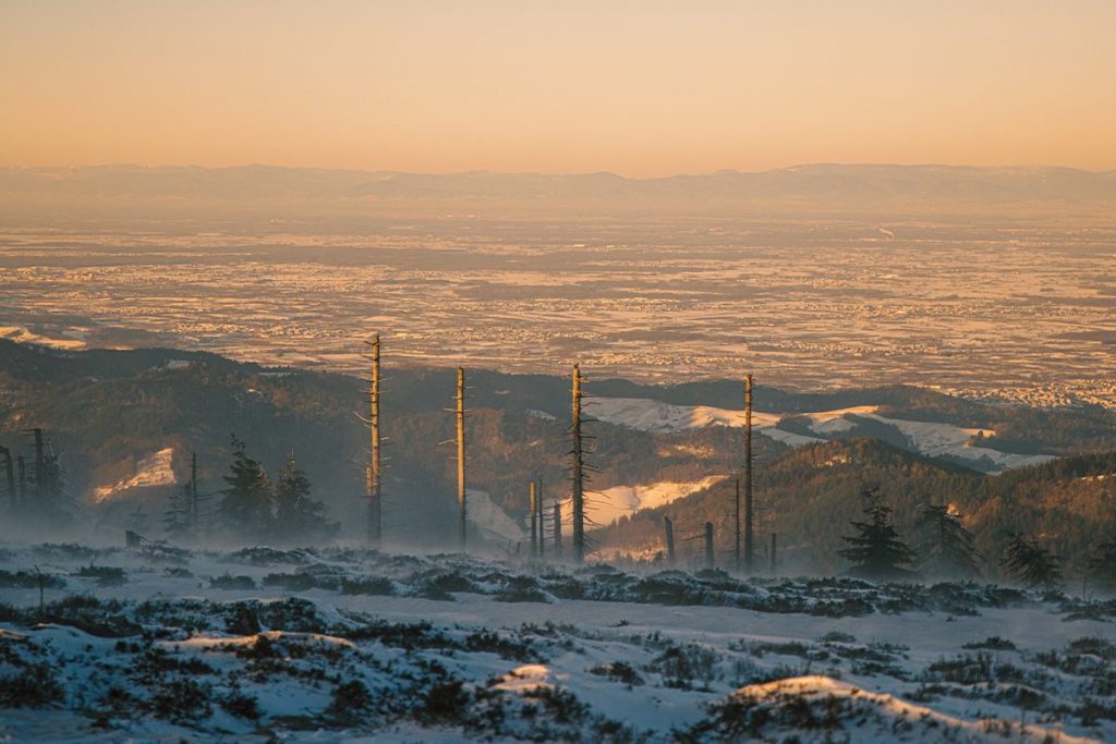 TEORÍA DEL INVIERNO NUCLEAR