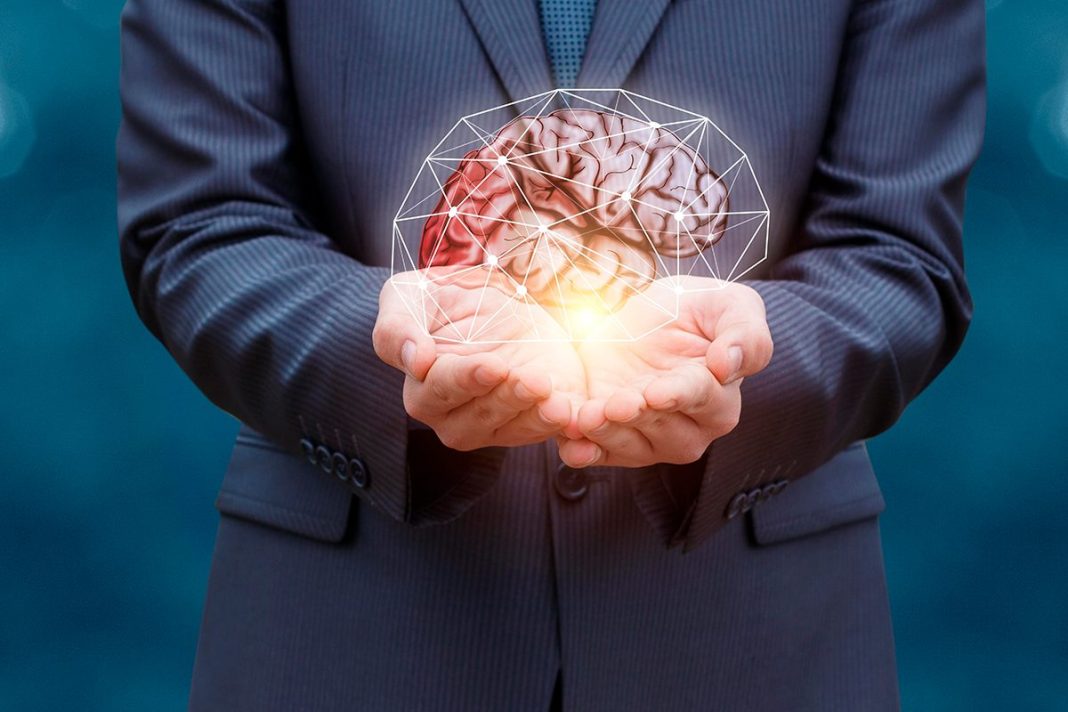 UN GRAN AVANCE PARA EL ESTUDIO DEL CEREBRO