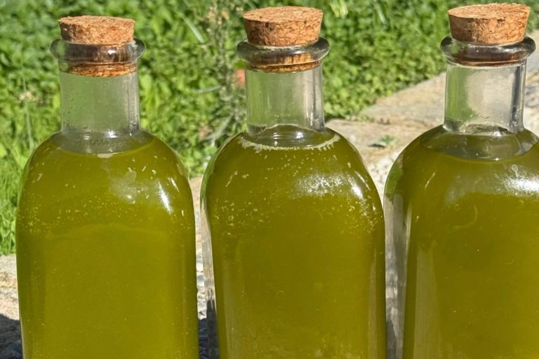 Tercio de las Torres; El aceite de oliva que nació de un sueño, no de un negocio
